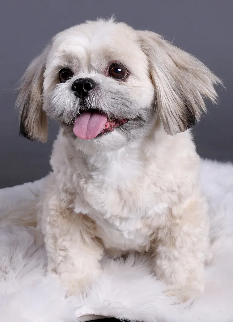 Sam